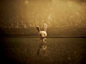 photo-1439436556258-1f7fab1bfd4f