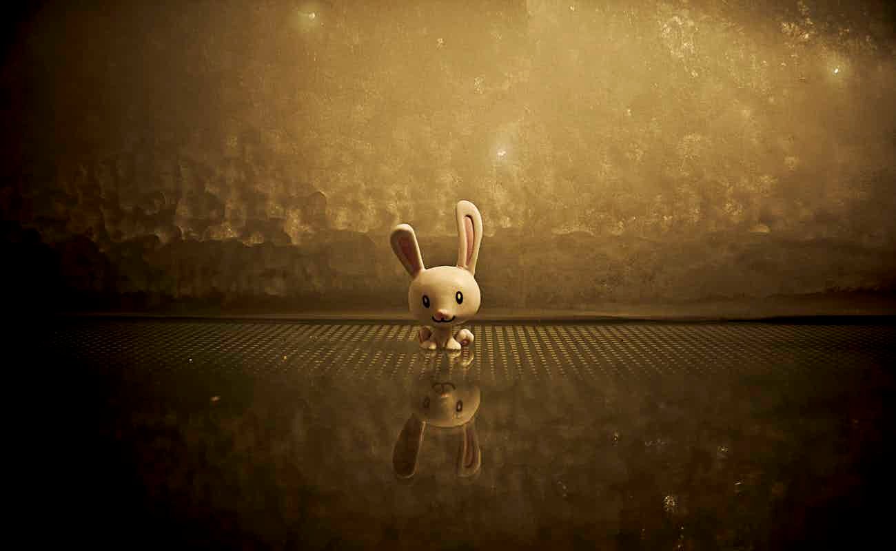 photo-1439436556258-1f7fab1bfd4f